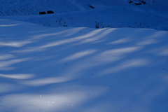 雪のあぜ道