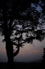 夕暮れのシルエット