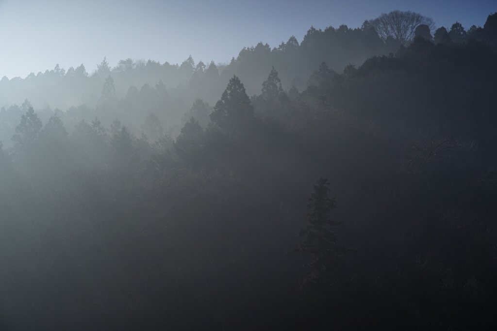 里山の朝