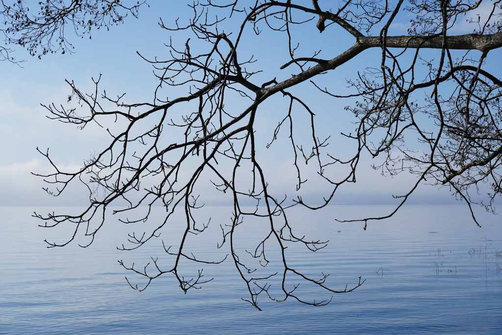 淡い青の湖畔