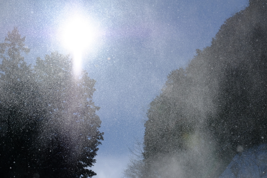 粉雪かぶる