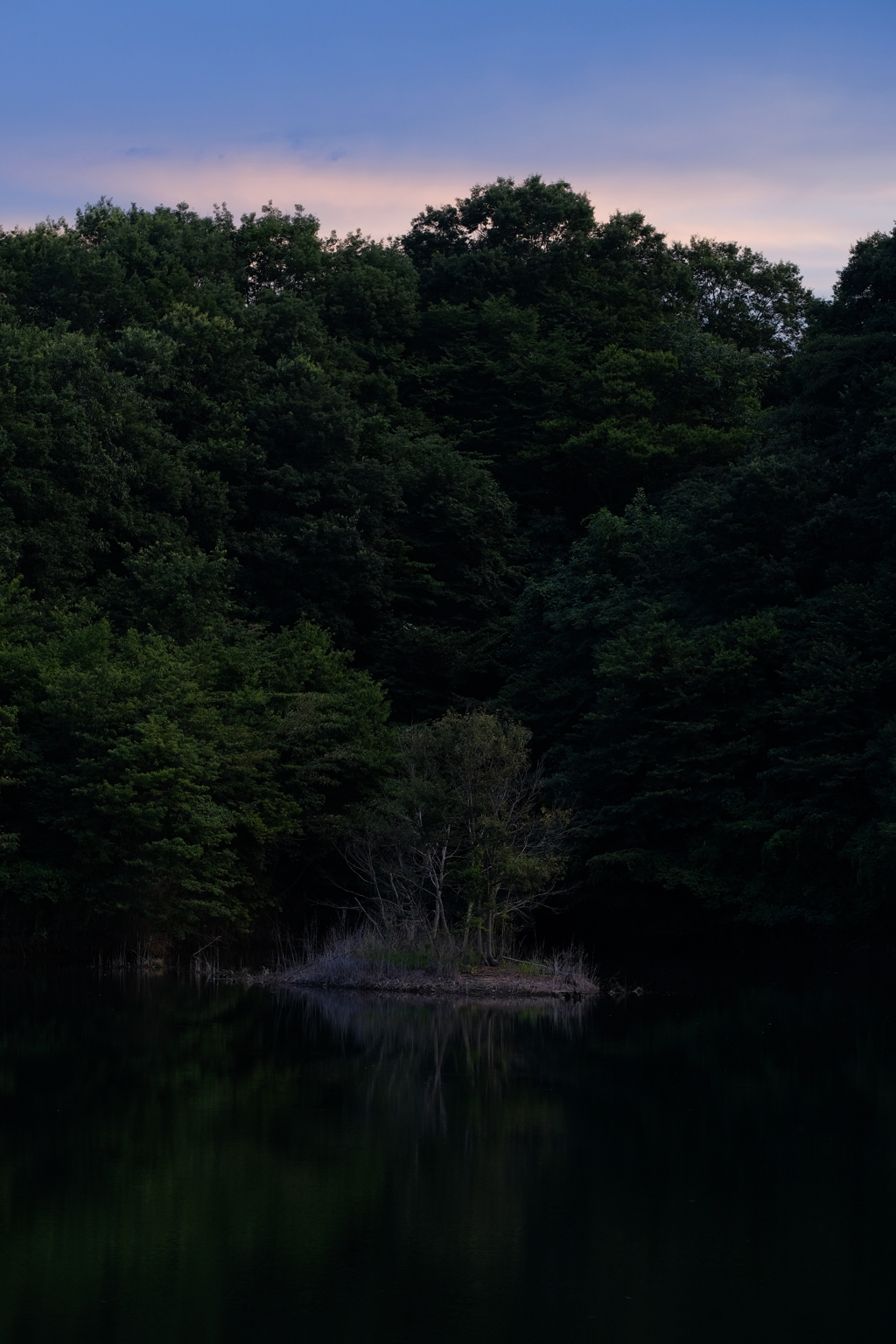 日暮れの池で