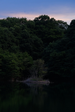 日暮れの池で