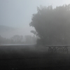 霧の朝 その2