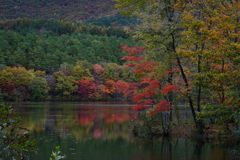 観音沼秋景2