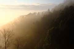 朝日の当たる里山