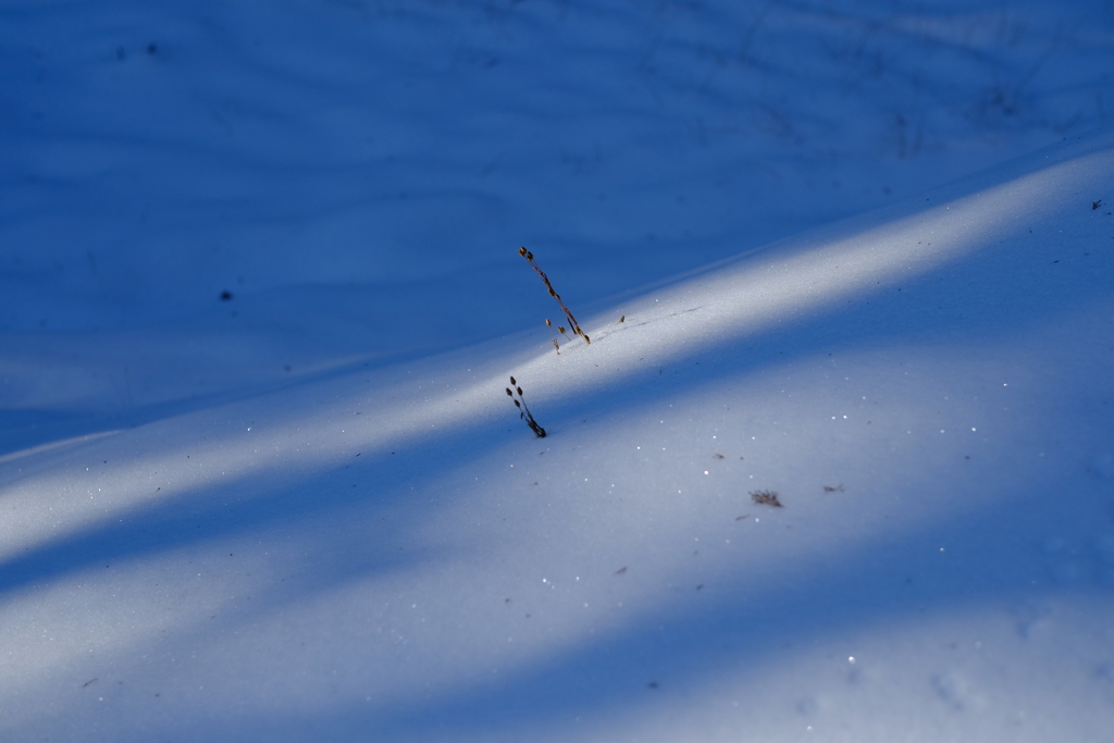 雪のあぜ道 その2