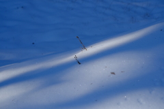 雪のあぜ道 その2