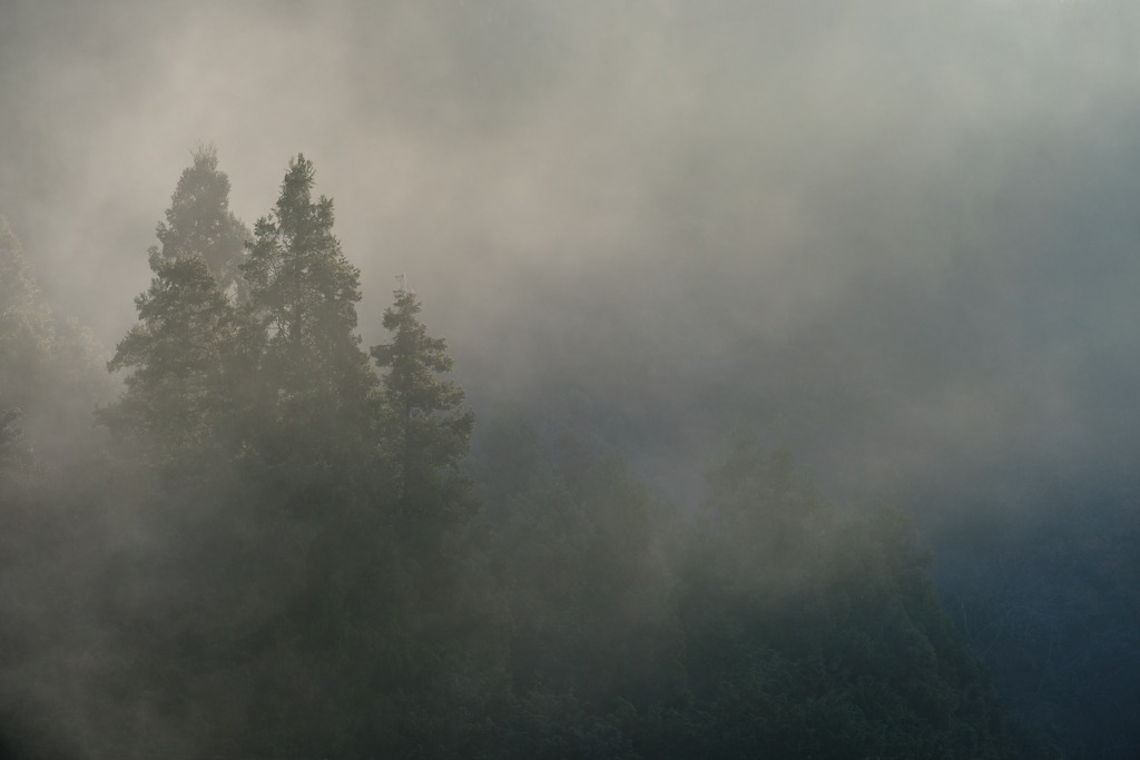 朝霧の光景 その2