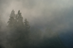 朝霧の光景 その2