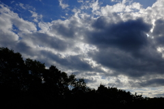雲が出てきた・・・