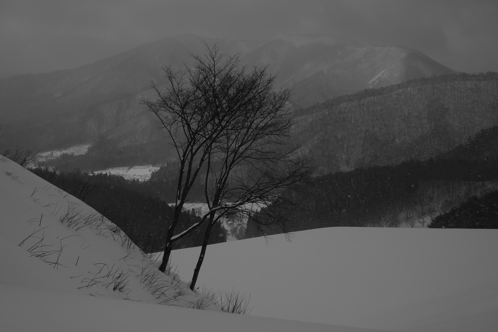 雪国