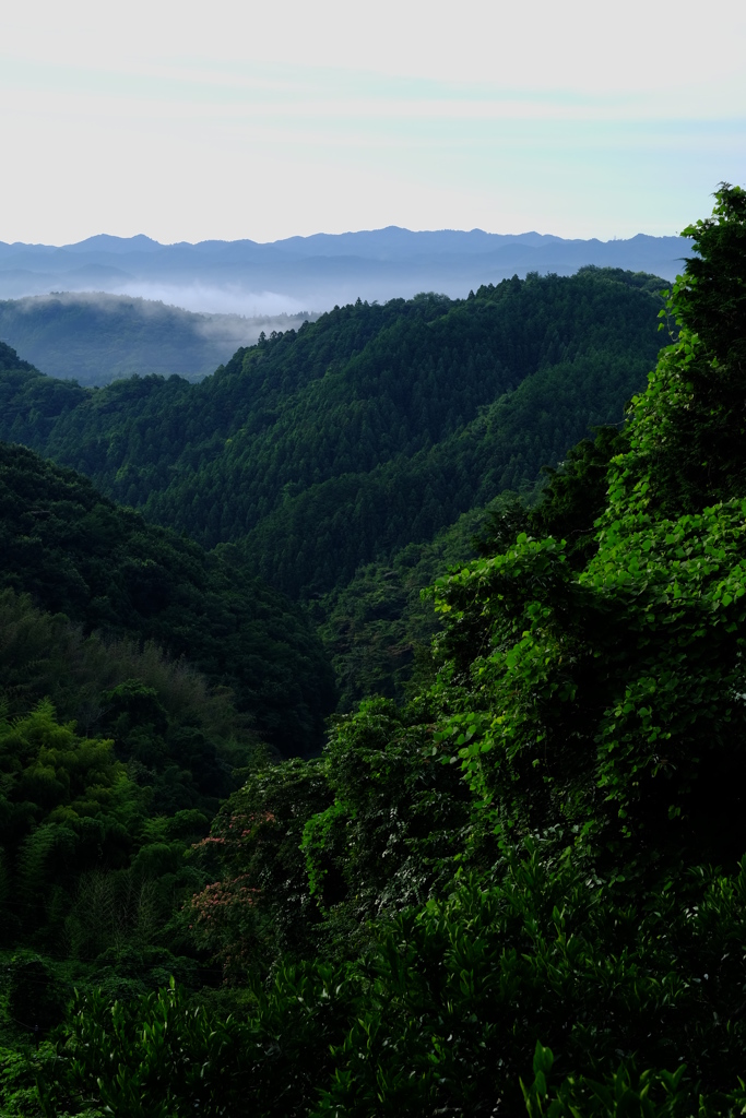 朝の山並み