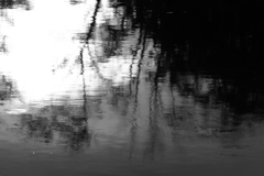 水面の表情
