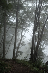 霧の山道で　その７