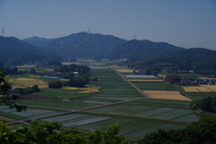 区画のきっちりとした田んぼ風景