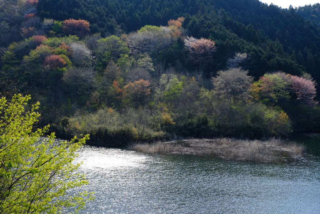 華やぐ里山