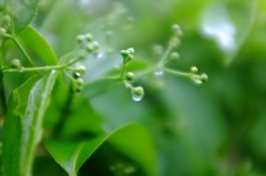 水滴