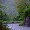 秋雨の山道　その４