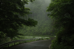 雨上がりの山道で　その2