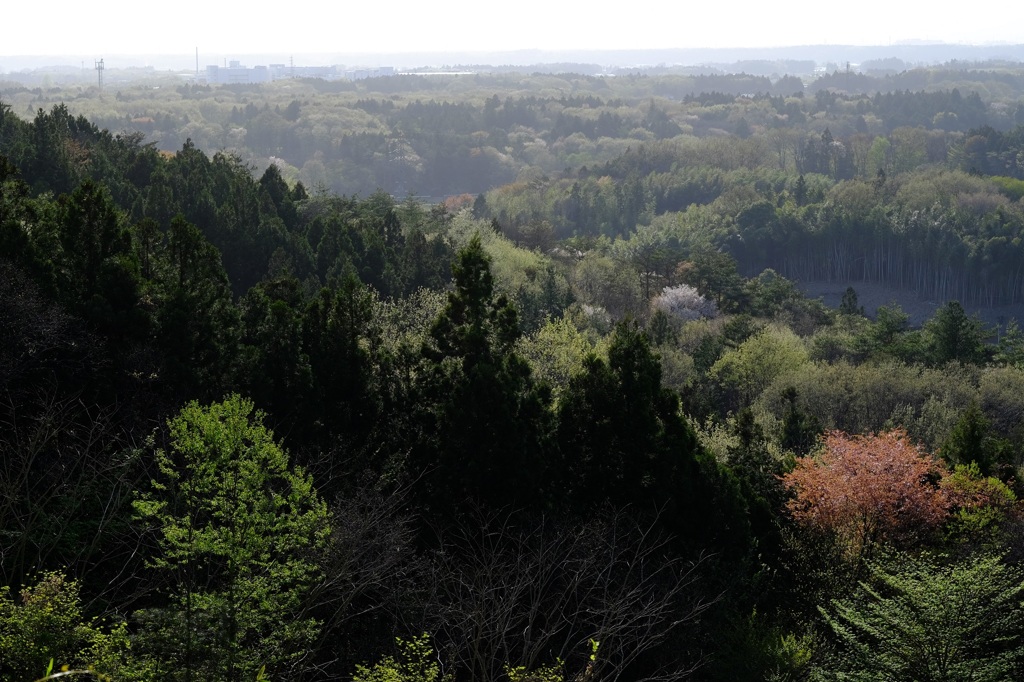 4月の景色