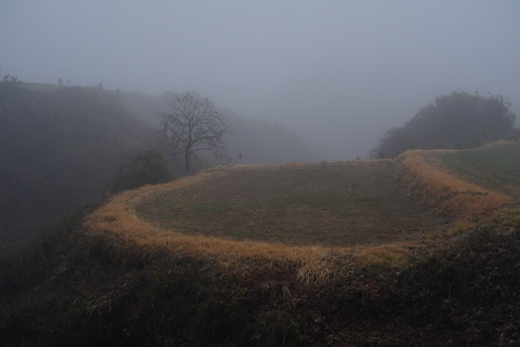 霧の田園風景