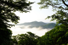 朝　その２