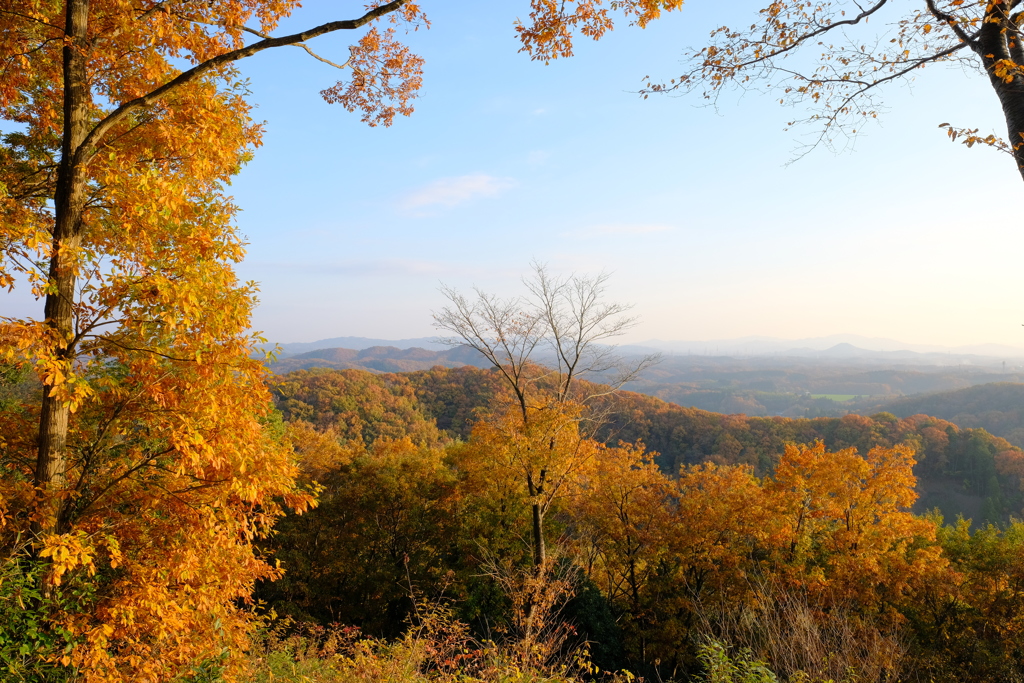 里山の紅葉
