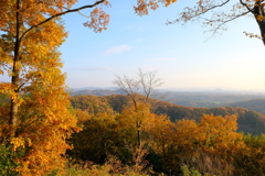 里山の紅葉