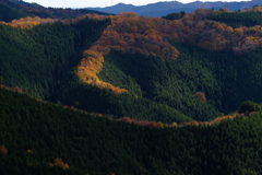 尾根は秋色3