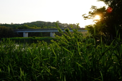 夕暮れの橋