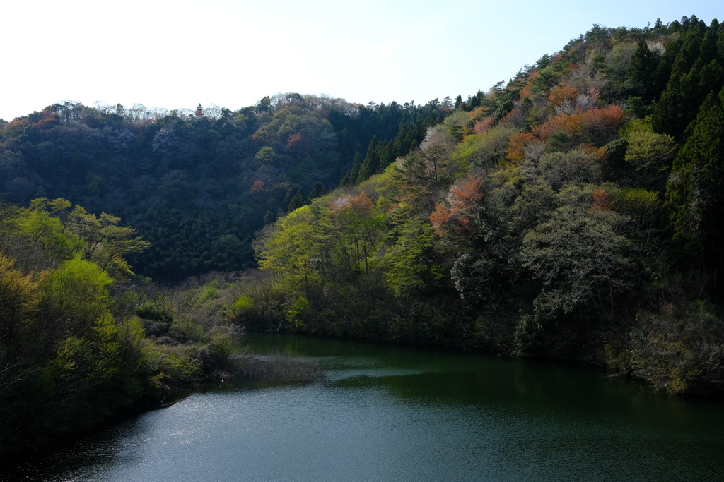 華やぐ里山