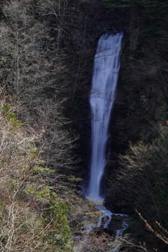 日暮の滝_初夏