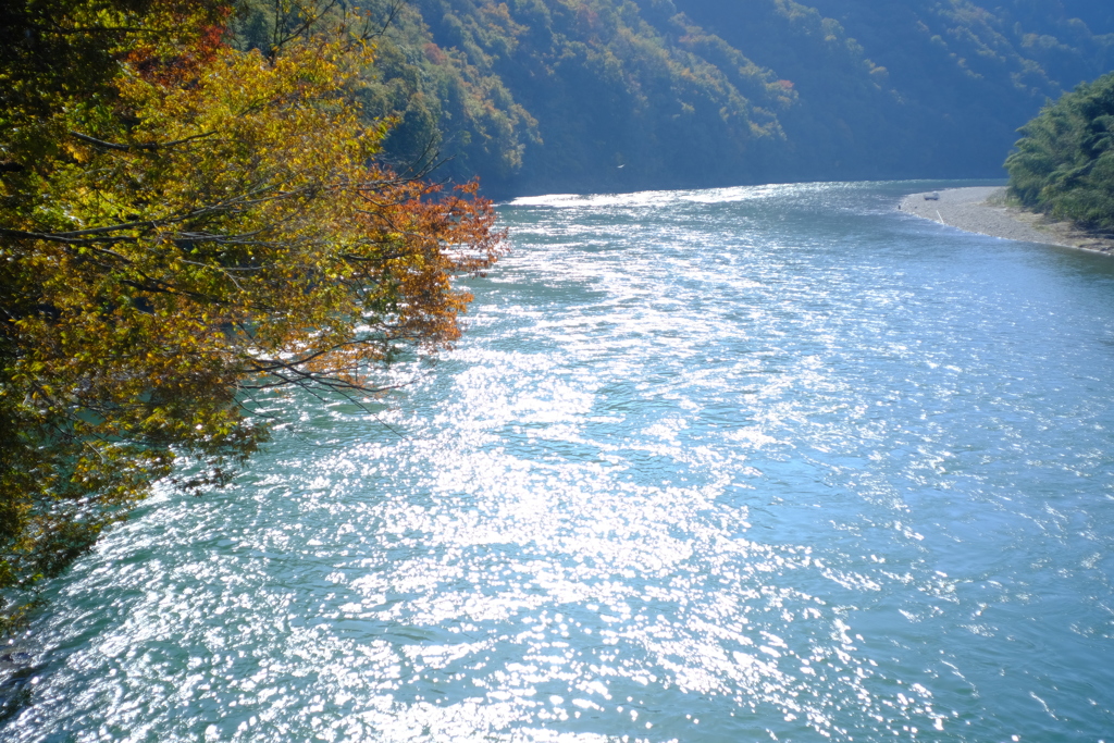 朝の川面 その2