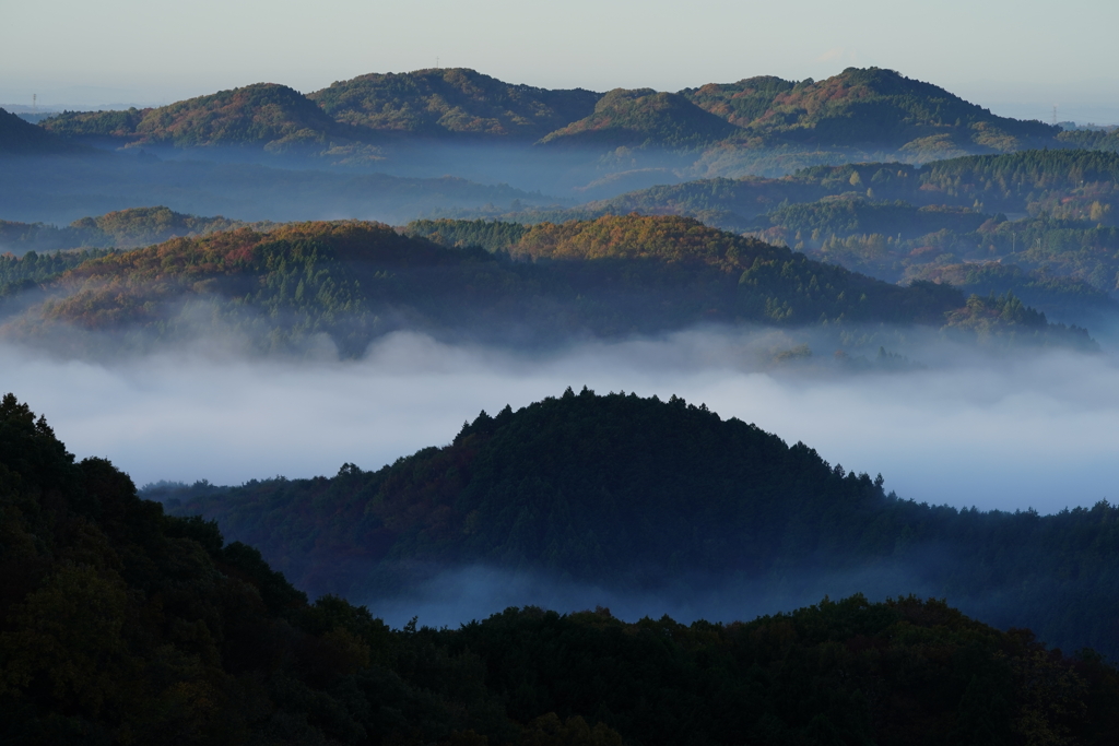 里山霧景
