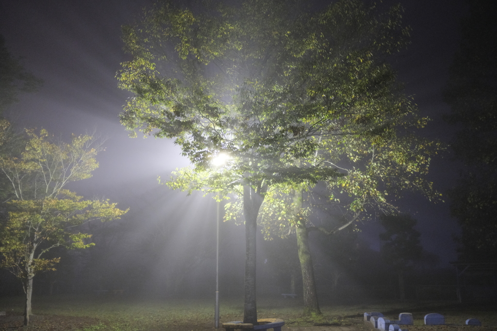 夜の公園 その2