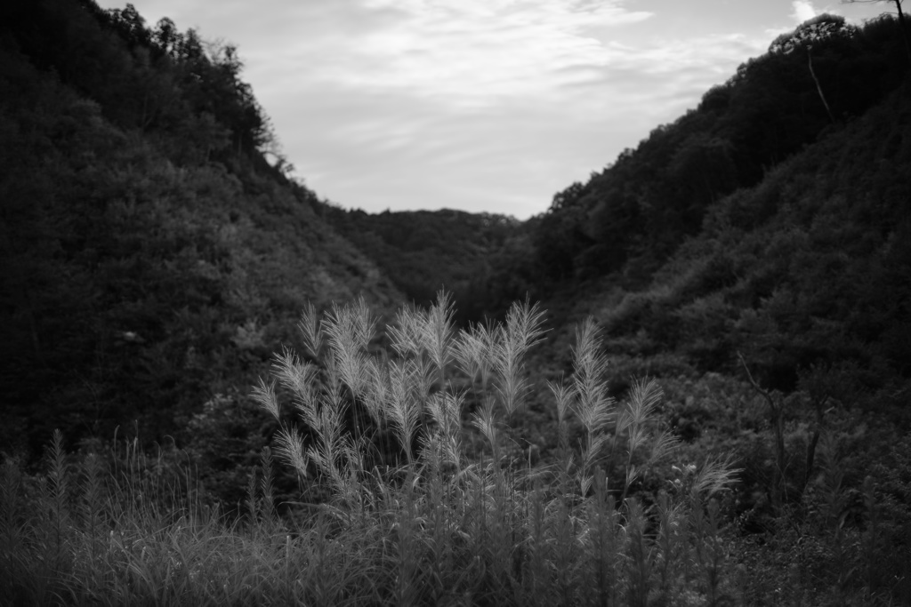 秋の里山で