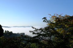 秋晴れの朝