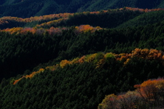 尾根は秋色