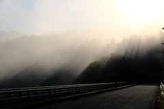 霧の朝 その2
