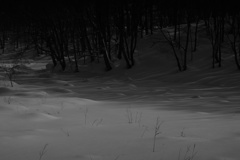 雪面の影