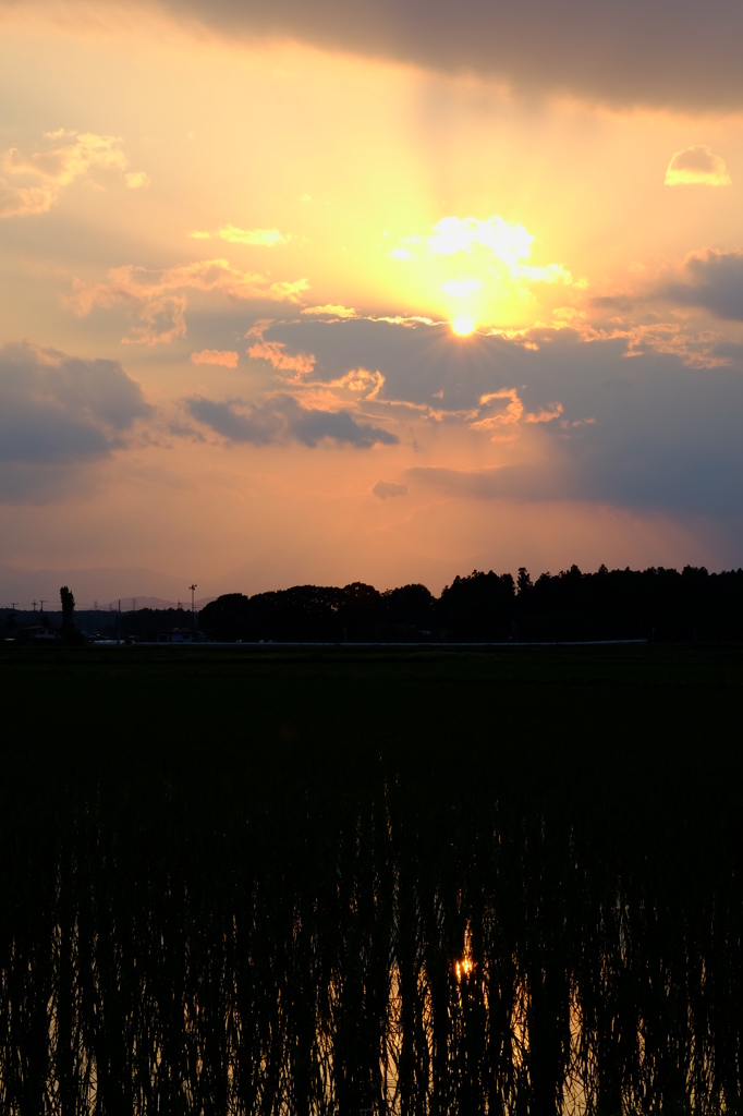 夕暮れの田園風景　その４