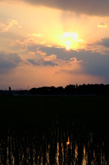 夕暮れの田園風景　その４