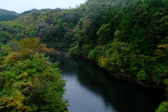 秋雨の風景