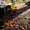公園の遊歩道 その4