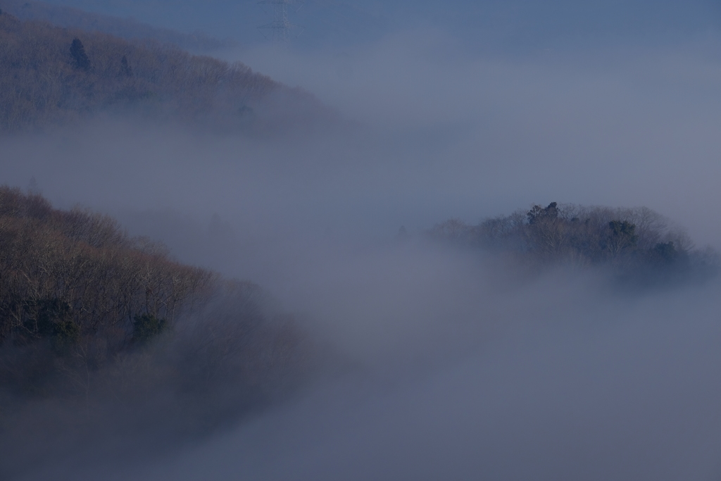 霧に包まれた里山 その2