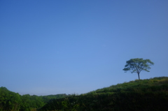 朝靄晴れて