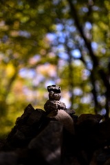 石割山  孤高のケルン