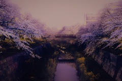 ザキヤマの夜