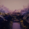 ザキヤマの夜